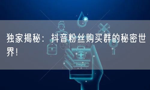 独家揭秘：抖音粉丝购买群的秘密世界！