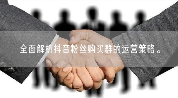 全面解析抖音粉丝购买群的运营策略。