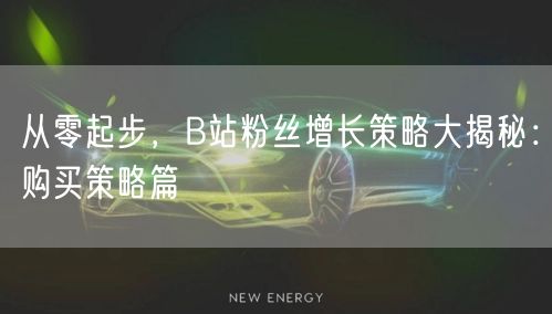 从零起步，B站粉丝增长策略大揭秘：购买策略篇
