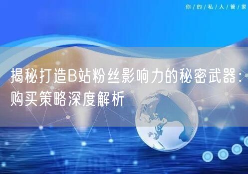 揭秘打造B站粉丝影响力的秘密武器：购买策略深度解析