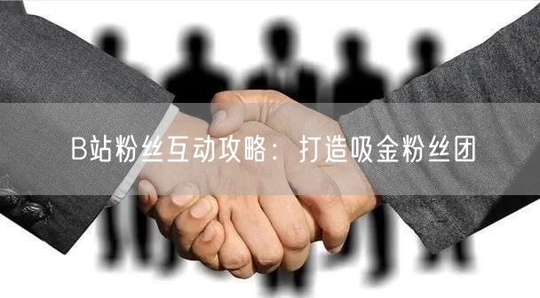 B站粉丝互动攻略：打造吸金粉丝团