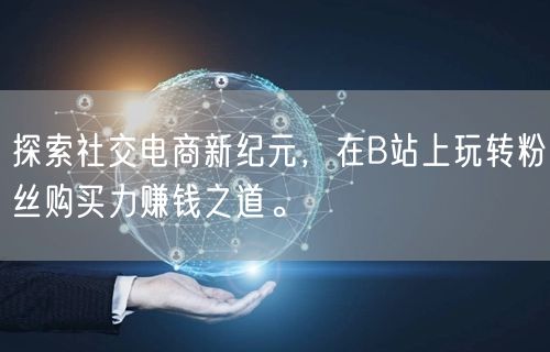 探索社交电商新纪元，在B站上玩转粉丝购买力赚钱之道。