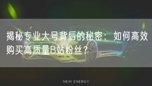 揭秘专业大号背后的秘密：如何高效购买高质量B站粉丝？