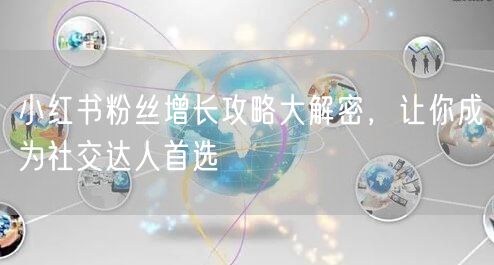 小红书粉丝增长攻略大解密，让你成为社交达人首选