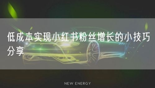 低成本实现小红书粉丝增长的小技巧分享