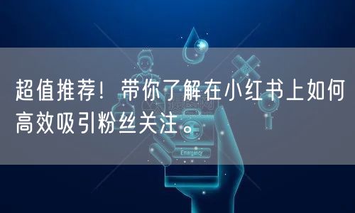 在小红书上轻松吸引粉丝关注你的方法大解密。