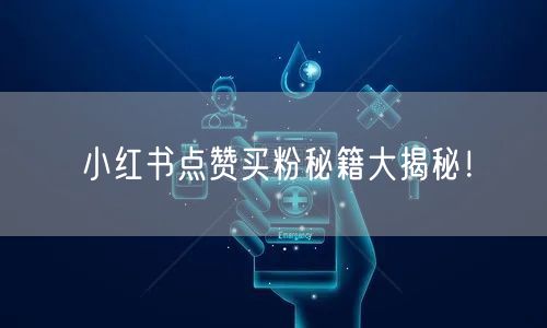 小红书点赞买粉秘籍大揭秘！