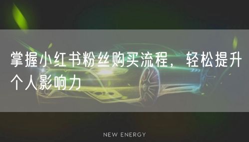 掌握小红书粉丝购买流程，轻松提升个人影响力