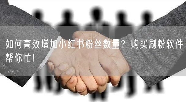 如何高效增加小红书粉丝数量？购买刷粉软件帮你忙！