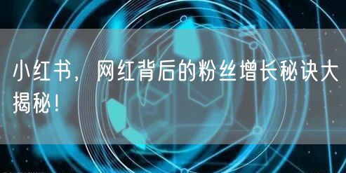 小红书，网红背后的粉丝增长秘诀大揭秘！