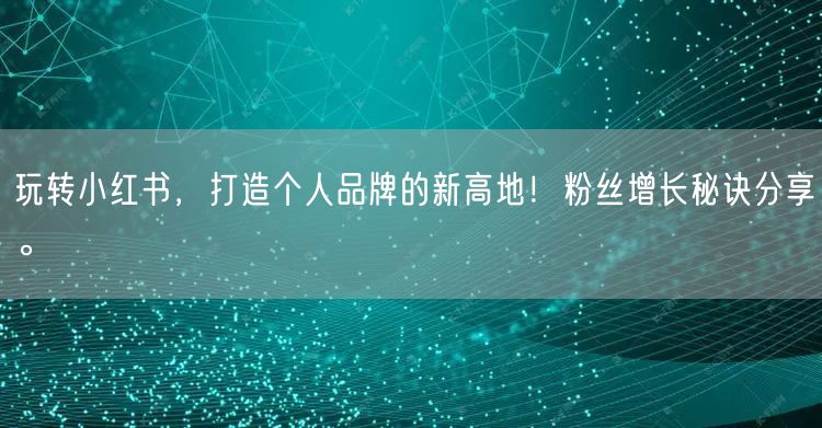 玩转小红书，打造个人品牌的新高地！粉丝增长秘诀分享。
