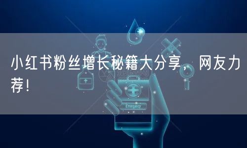 小红书粉丝增长秘籍大分享，网友力荐！