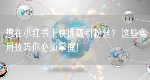 想在小红书上快速吸引粉丝？这些实用技巧你必须掌握！