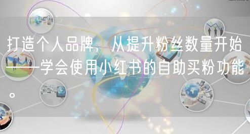 打造个人品牌，从提升粉丝数量开始——学会使用小红书的自助买粉功能。