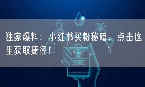 独家爆料：小红书买粉秘籍，点击这里获取捷径！