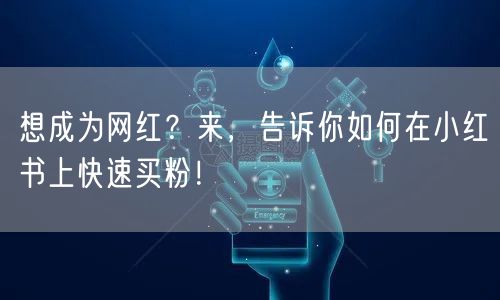 想成为网红？来，告诉你如何在小红书上快速买粉！