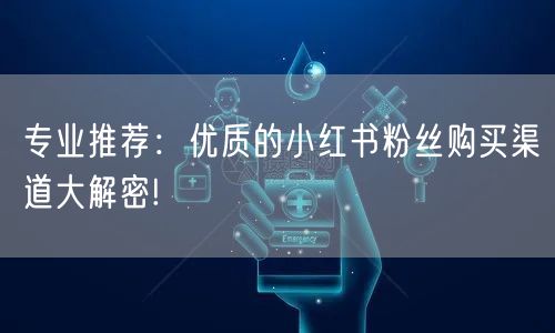 专业推荐：优质的小红书粉丝购买渠道大解密!