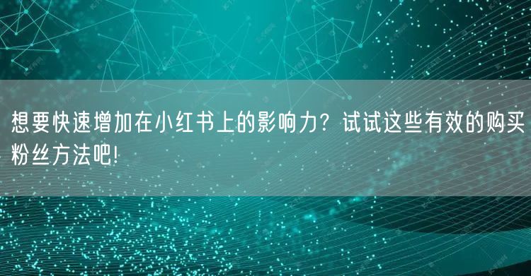 想要快速增加在小红书上的影响力？试试这些有效的购买粉丝方法吧!