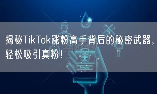 揭秘TikTok涨粉高手背后的秘密武器，轻松吸引真粉！
