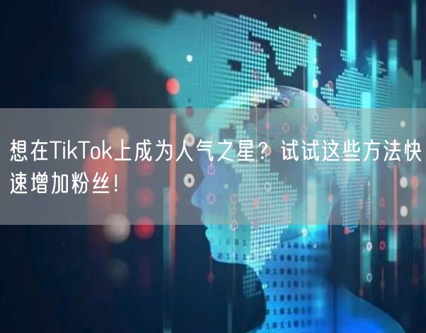 想在TikTok上成为人气之星？试试这些方法快速增加粉丝！